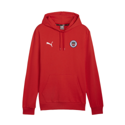 PUMA teamGOAL Casuals Sweat à capuche rouge